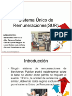 Trabajo SP-SUR