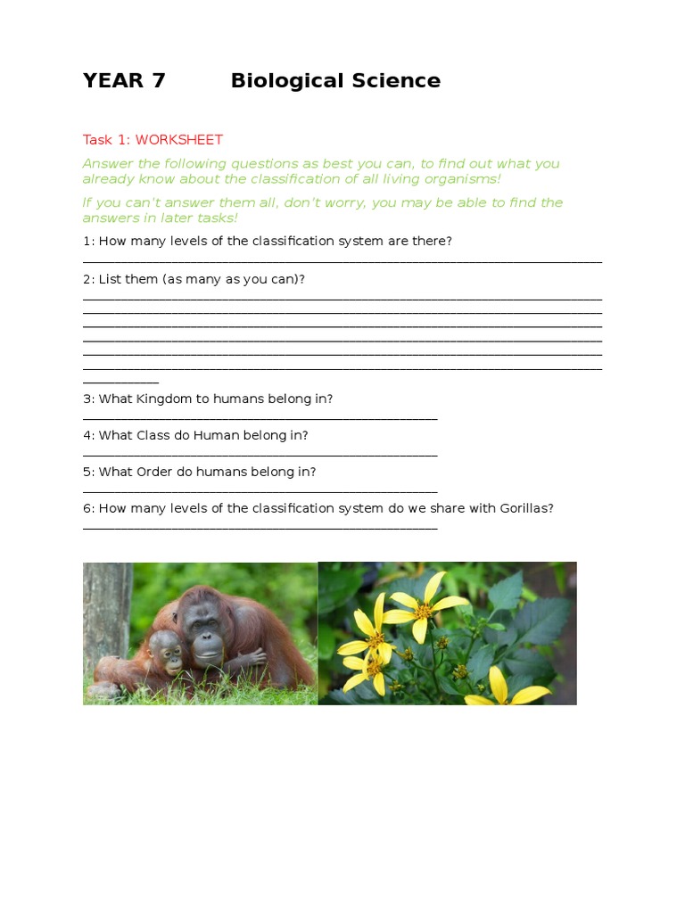 Year 7 Worksheet 1 | PDF | Self-Improvement