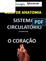 Antomia Do Coração