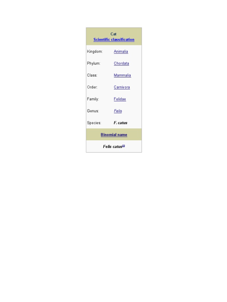 Cat Scientific Classification Overview | PDF