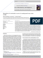 Carrot carotenoid biosynthesis: An underground story illuminated