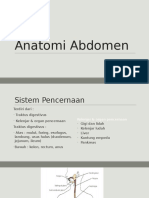 Anatomi Abdomen