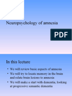 Neuropsychology of Amnesia: Memory Loss and Brain Lesions