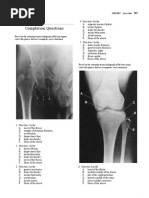 Download Snell Lower Limb Questions Answers by Ben SN314628833 doc pdf