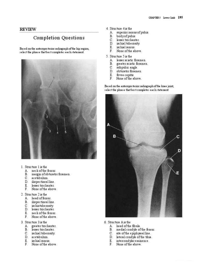 SNELL ANATOMY REVIEW QUESTIONS PDF visual data 5