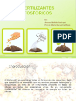 FERTILIZANTES P.pptx