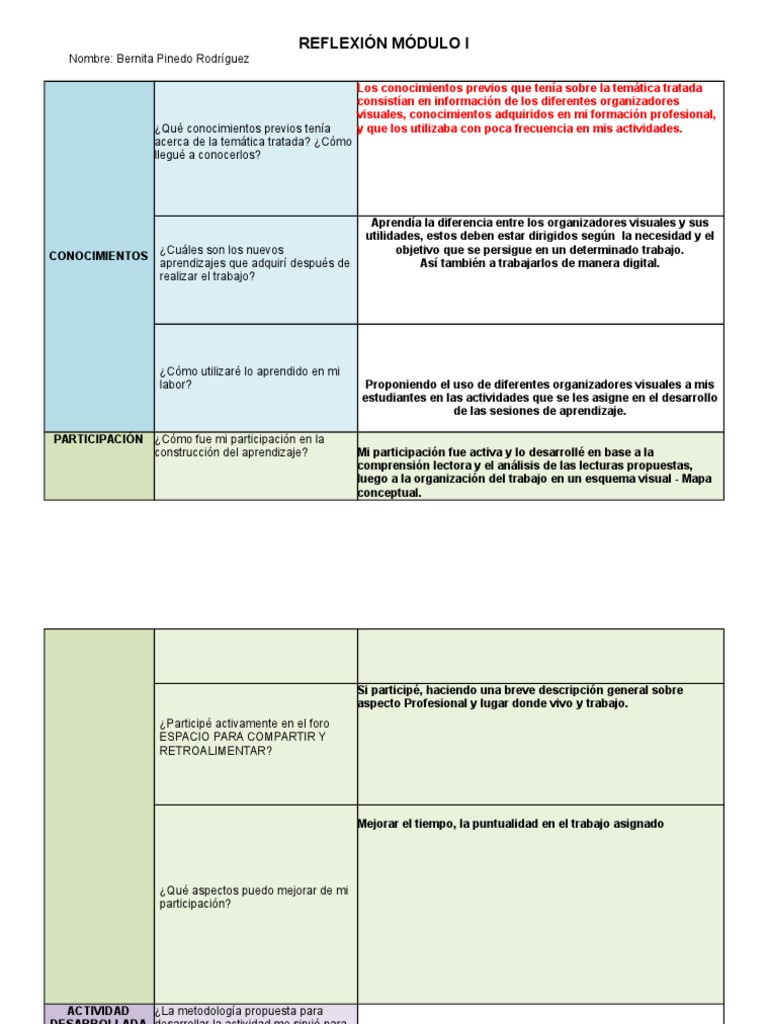 Reflexión Módulo I | PDF