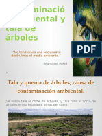 Contaminación Ambiental y Tala de Árboles