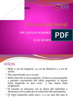 ULTRASONIDO Renal.pdf