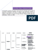 Ditylenchus PDF
