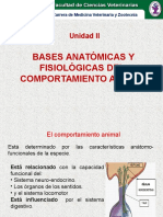 Bases Anatomicas1