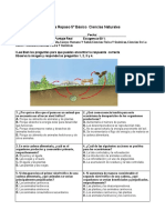 Prueba Repaso Ciencias 5