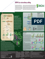 CRISPR-Cas Extraordinary Editing Posters