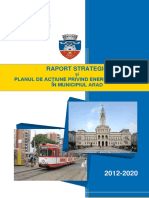 RAPORT_STRATEGIC_si_PAED_in_Municipiul_ARAD.pdf