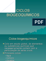 Ciclos Biogeoquímicos