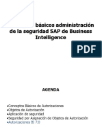 Conceptos Básicos Administración Seguridad SAP BI