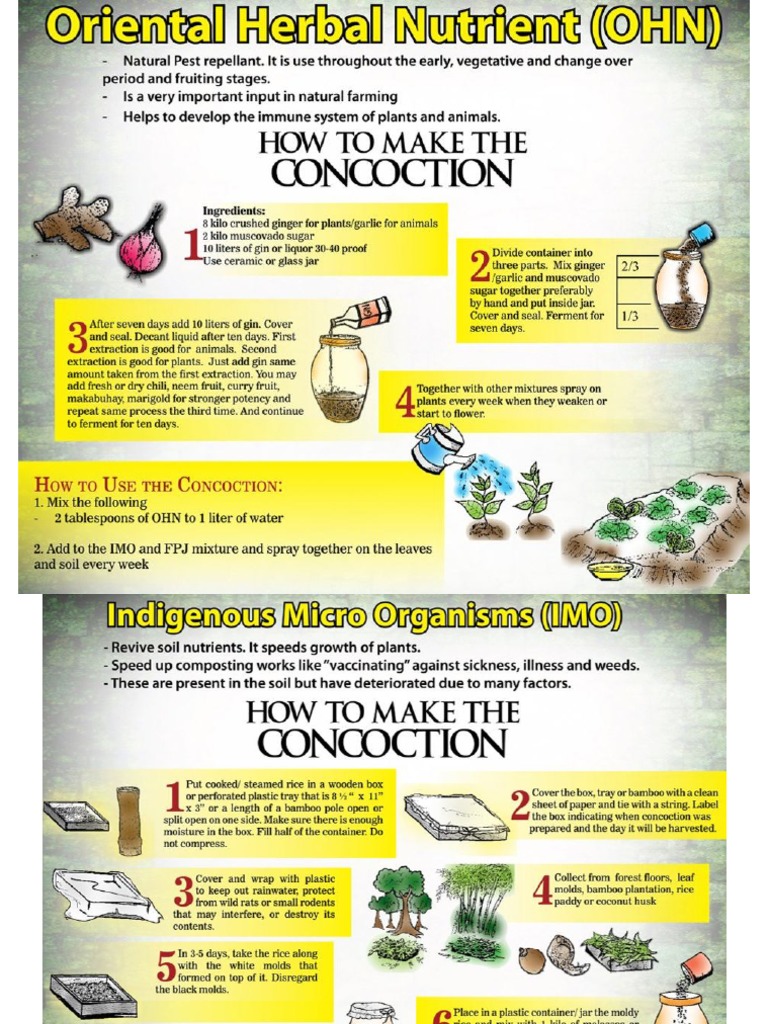 Concoction organic fertilizer