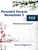 Penyakit Parasit Nematoda 3 - Nurprimadita