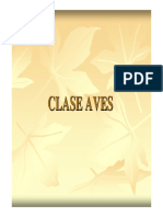Clase Aves