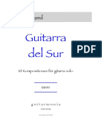 Guitarra Del Sur