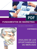 SESION 16, ANALISIS DE LAS OPORTUNIDADES DE MERCADO. CASO.ppt