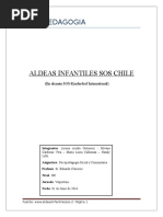 Informe Aldeas S.O.S.