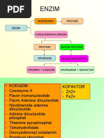 Download ENZIM biokimia perikanan unpad by iiiie SN31475089 doc pdf