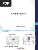 Granulopoese Clinica Em Pratica