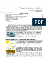 1_Tema_08_Reino_plantas.pdf