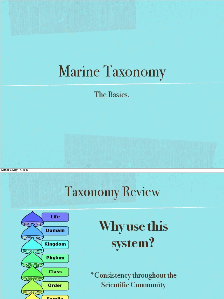 Overview of Marine Taxonomy | PDF | Cetacea | Mollusca