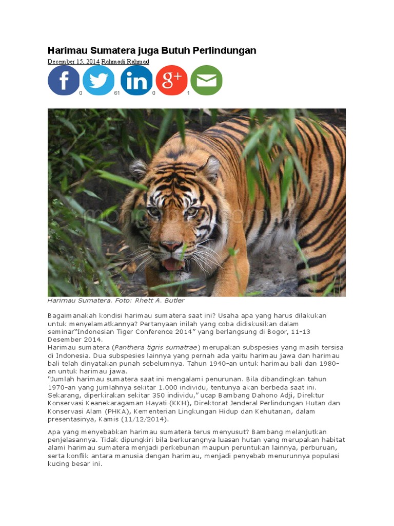 Pelestarian Hewan Langka