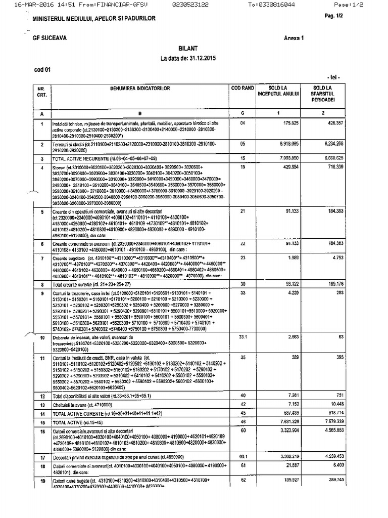 2.4 Bilant Contabil Pe Anul 2015 | PDF