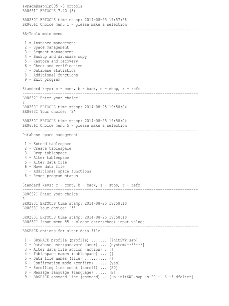 Resize Oracle Tablespace Guide | PDF | Oracle Database | Data ...