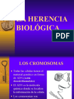 La Herencia Biologica