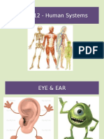 Biology Eye and Ear ppt