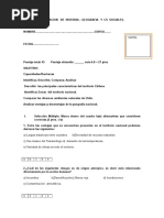 Prueba Sexto Basico