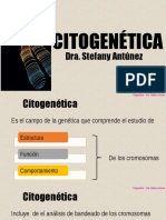 CG18 Citogenética