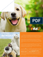 Instapet Ghid F64 Royal Canin