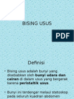 Bising Usus