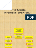 Patofisiologi Hipertensi Emergency