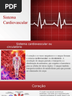 Sistema Cardiovascular