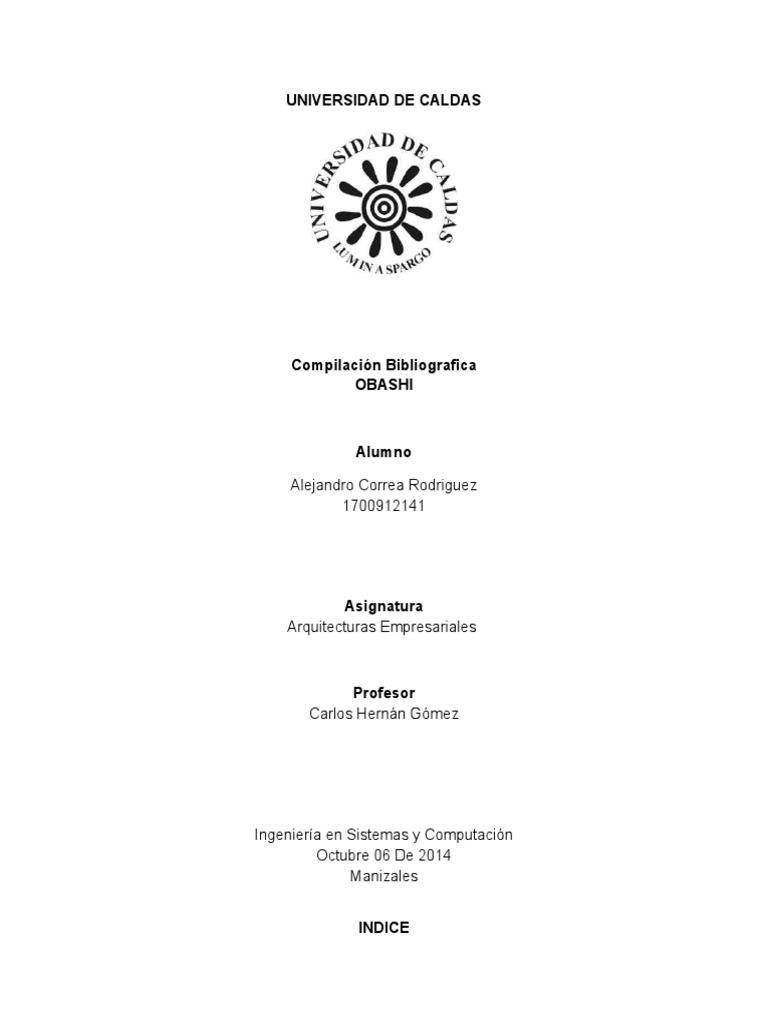 Metodología OBASHI en Arquitecturas Empresariales | PDF | Tecnologías ...