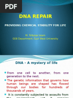 DNA Repair