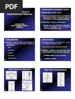 Download Seed Formation - Ppt by Mufida Rizqi Agustina SN314846218 doc pdf
