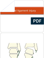 Lateral Ligament Injury