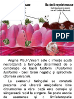 Microbiologie Orala