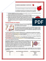 Los Grupos Sanguíneos - 2016 PDF