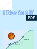 ciclo-hiv