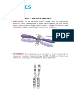 Cuestionario de Genetica