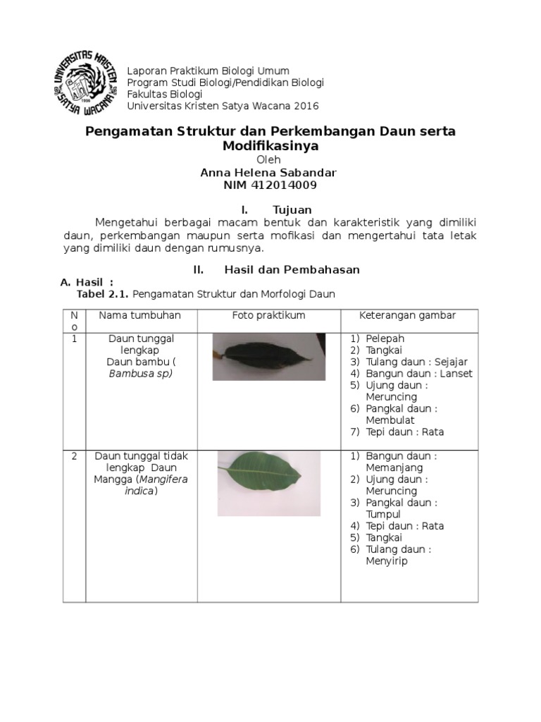 Laporan Daun 1